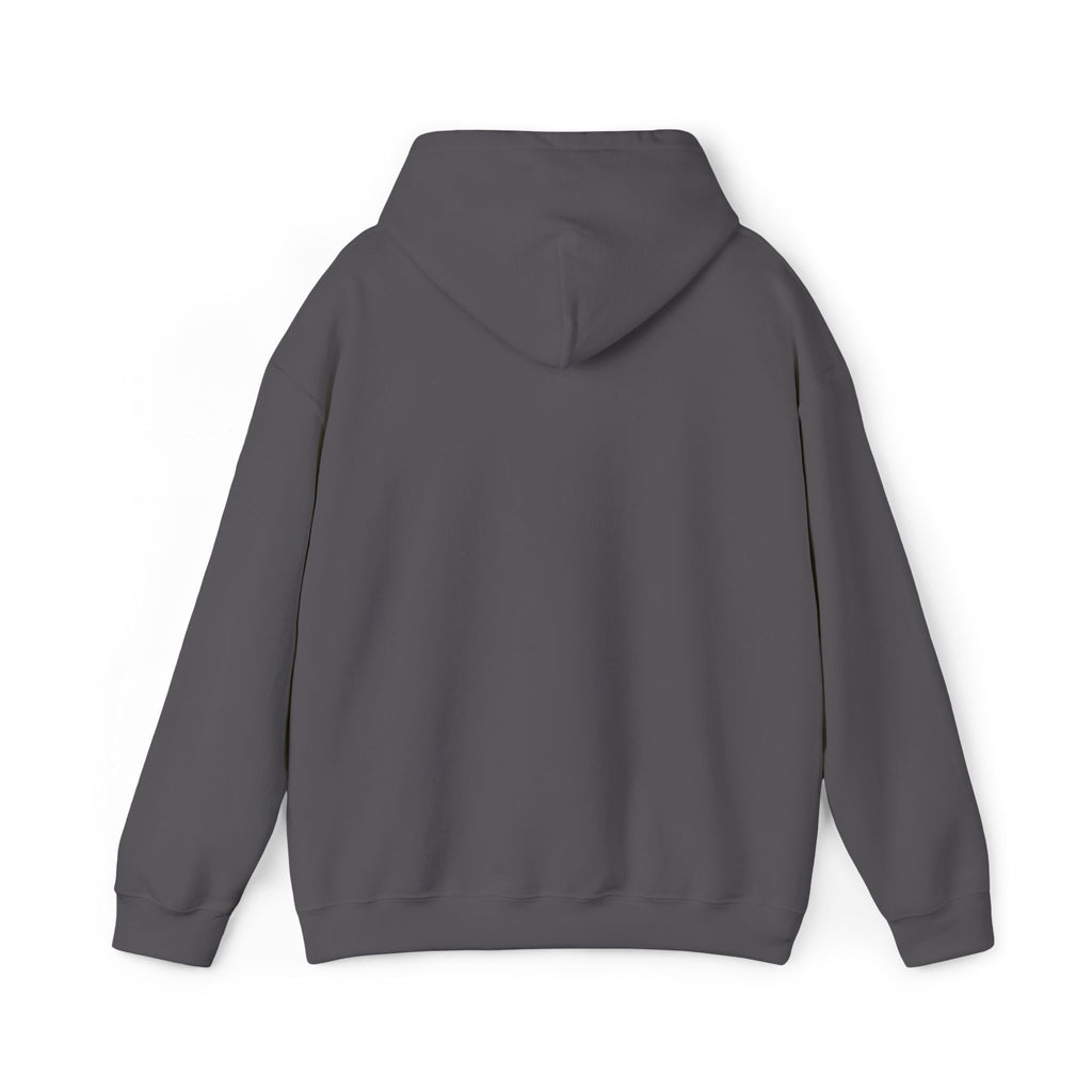 Charcoal hoodie with hood and back silhouette, no embroidery visible