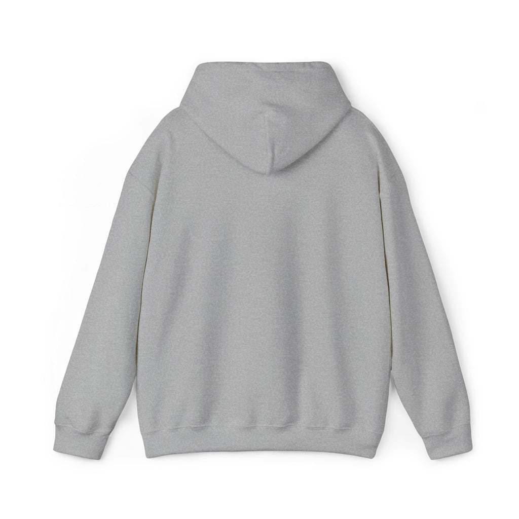 Sport Grey hoodie back view with hood and kangaroo pocket seam detailing