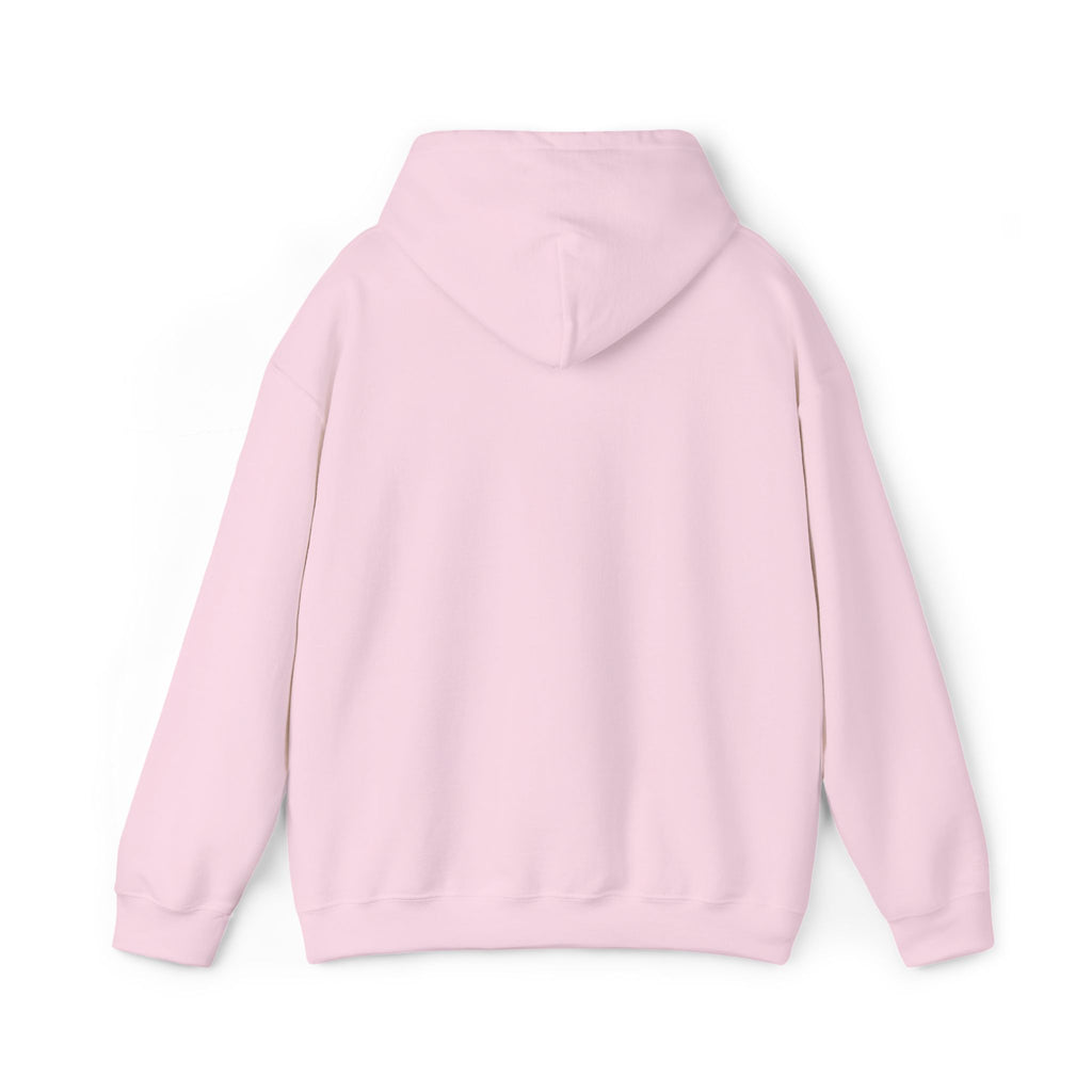 Light pink hoodie with drawstring hood, no graphic shown on back view