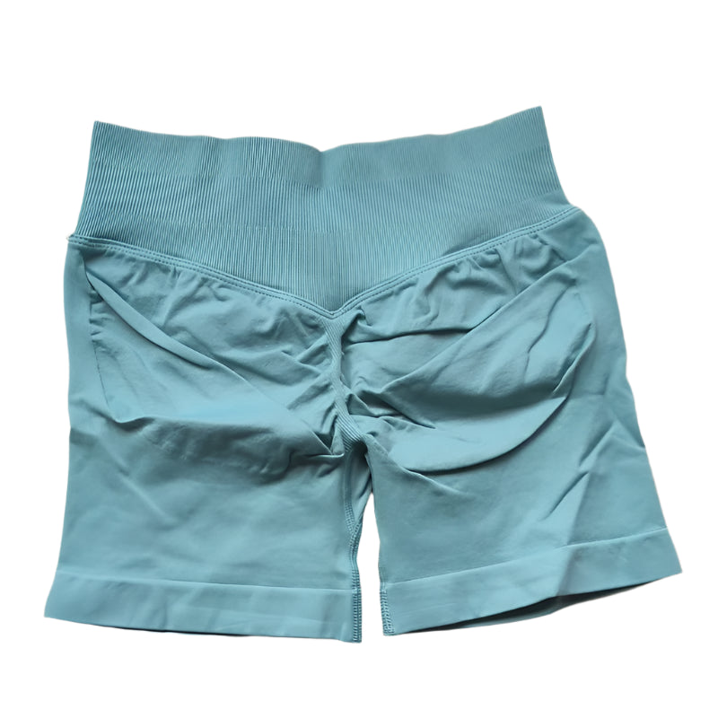 I Came. I Squatted. I Slayed | High Intensity Active Shorts