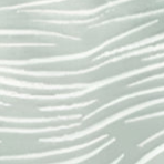 Plank You Very Much | Zebra Striped Bra + Shorts Matching Set