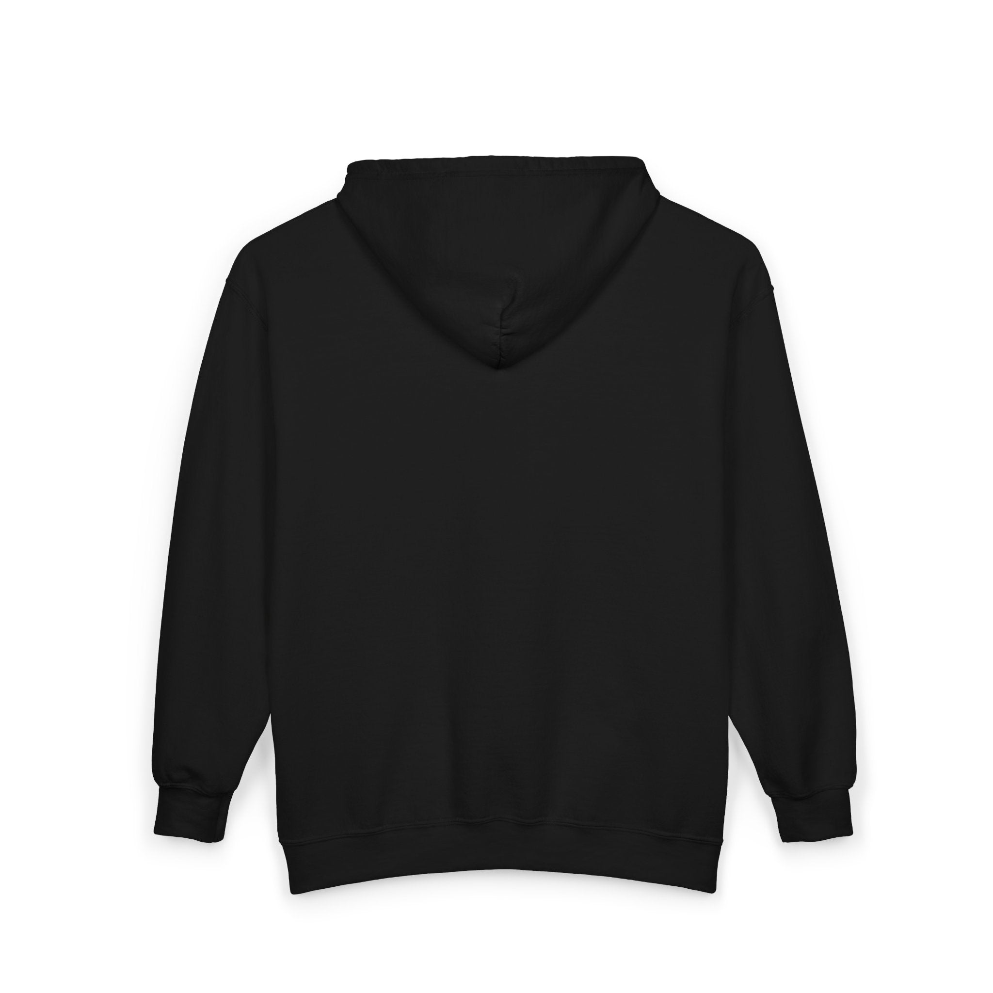Black zip-up hooded sweatshirt, plain back view with hood and kangaroo pocket