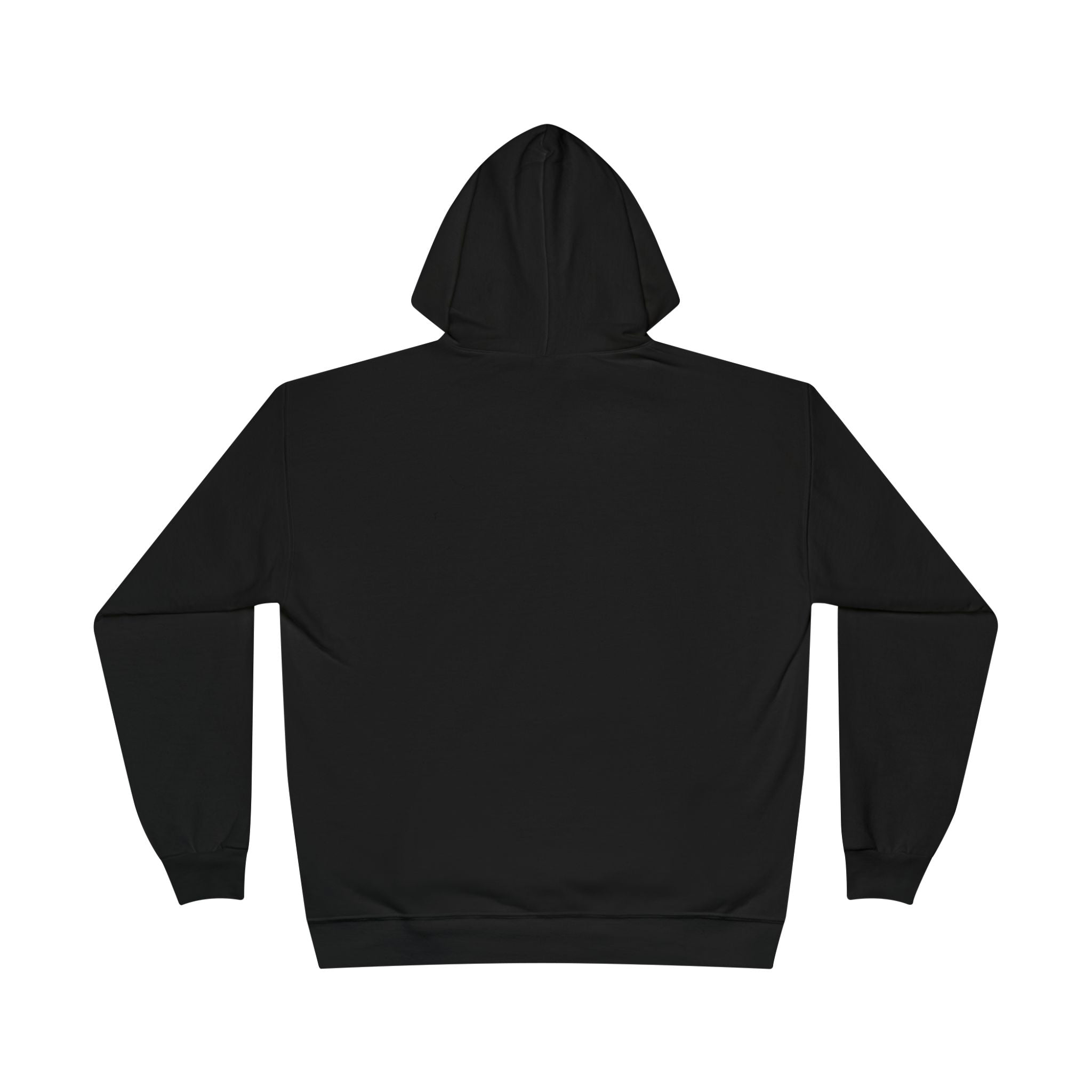 Black fleece-lined pullover hoodie, back view, no visible front graphic